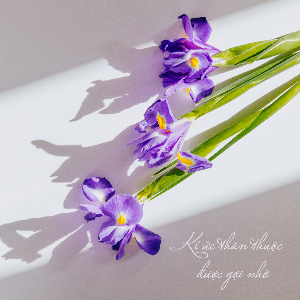 Be With Me - Nến thơm hương hoa Diên Vĩ, Hoa Hồng