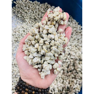 1kg ruột hến làm sạch khay