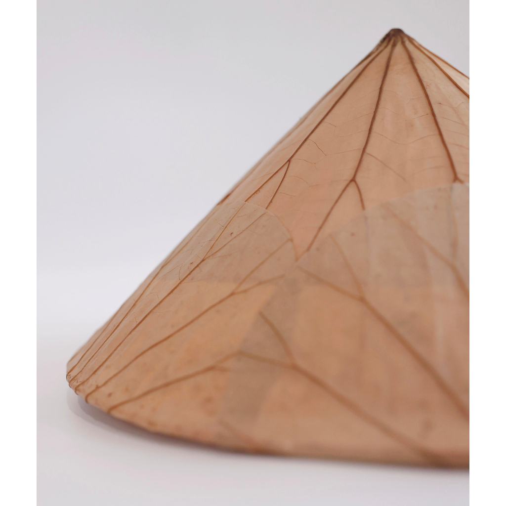 NÓN LÁ SEN TRẮNG KEM