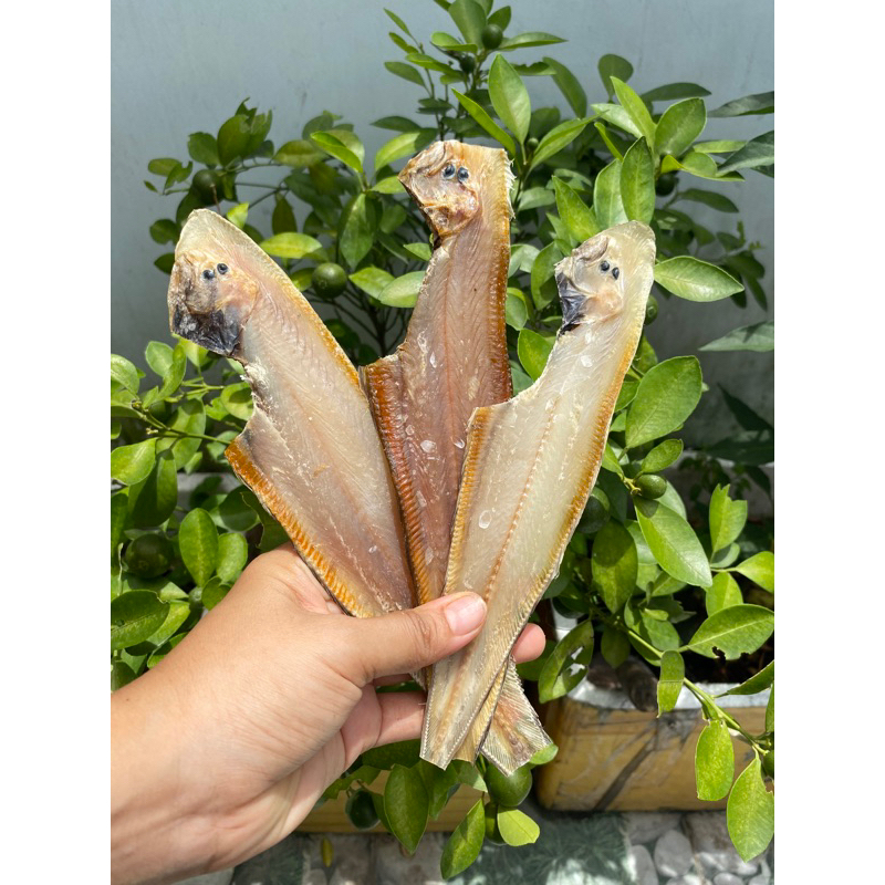500gr khô cá lưỡi trâu , cá được cắt sạch bụng đóng gói sạch sẽ , đẹp mắt