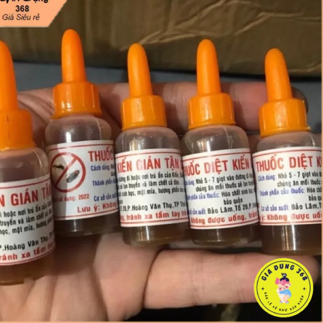 Diệt kiến gián sinh học chết tận gốc
