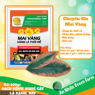 Mai vàng vàng lá thối rễ an nhiên green farm