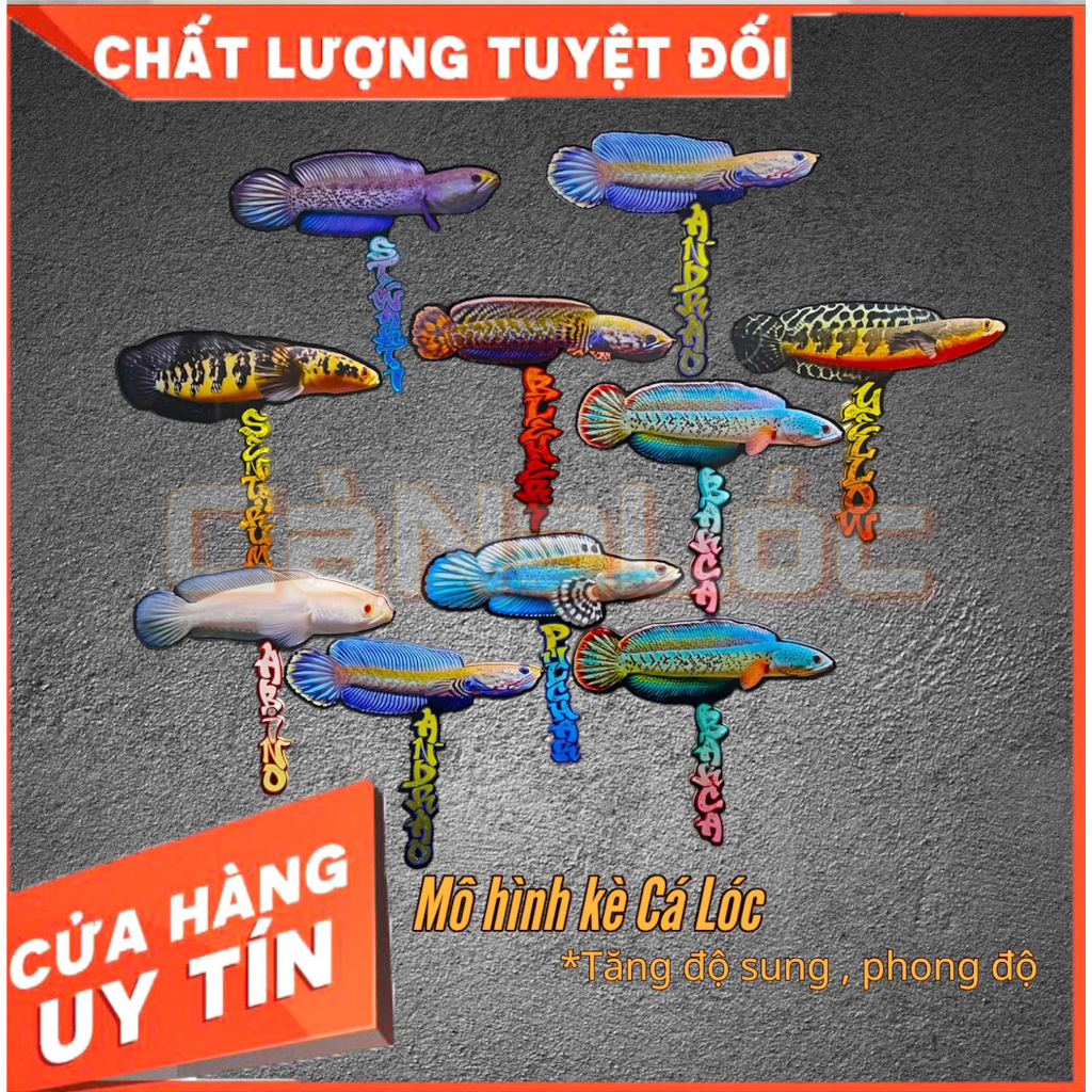 Mô Hình Cây Kè Cá Lóc Đủ Dòng