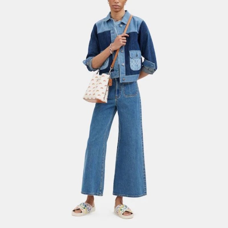 TÚI COACH MOLLIE TOTE 25