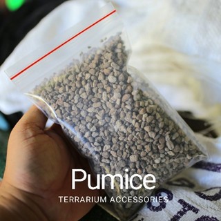 Pumice | Đá lót nền hồ Terrarium | giá thể cho vi sinh