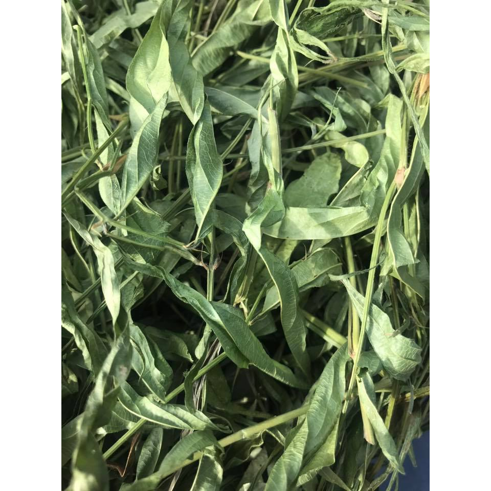 Cỏ Khô Premium Cavalcade Hay Organic 🐶 FREE SHIP 🐶 Cung cấp protein,canxi cho guinea pig, thỏ, chinchilla ..