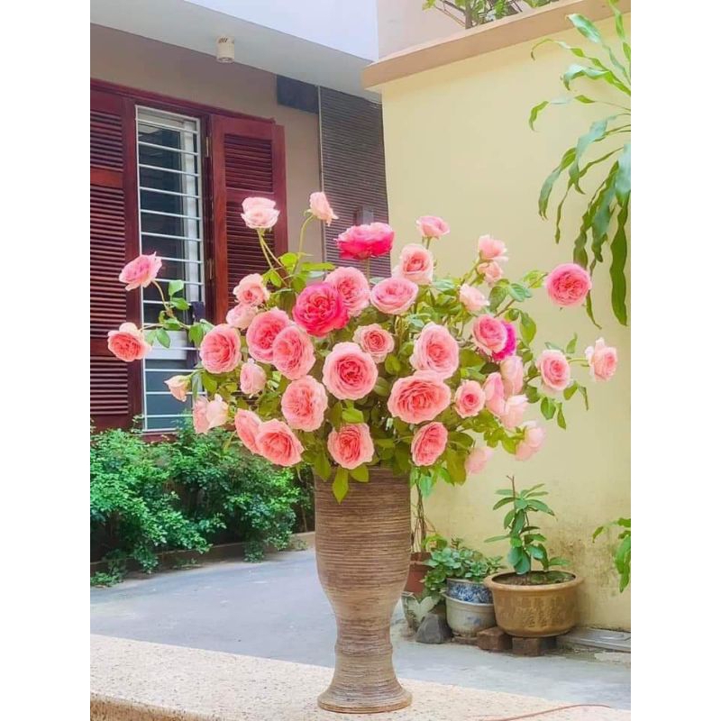 BÌNH HOA DÁNG LY CAO vẽ 3D xinh xuất sắc 😍