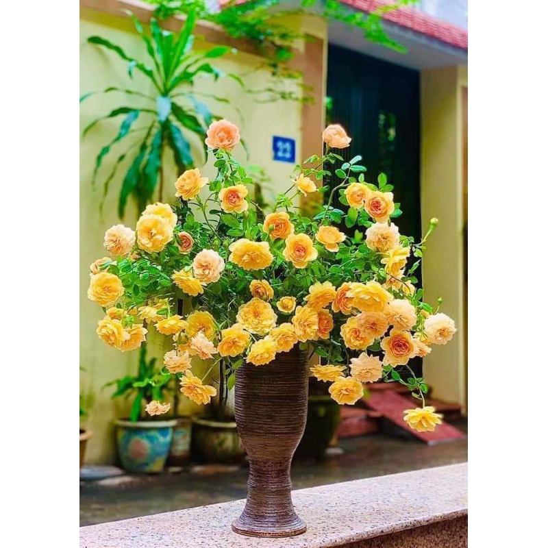 BÌNH HOA DÁNG LY CAO vẽ 3D xinh xuất sắc 😍