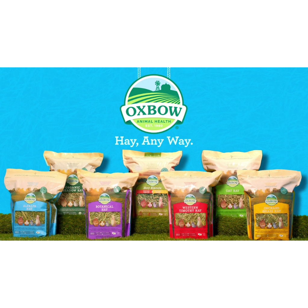Alfalfa Hay Oxbow 15Oz 425g 🐶Free ship 🐶Cỏ Khô Dành Cho Thú Cưng Gặm Nhấm Thú Nhỏ