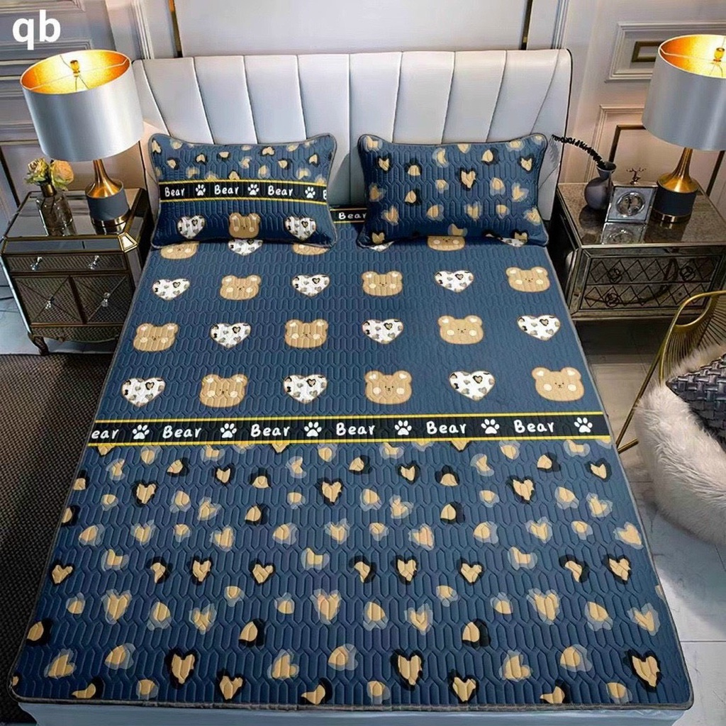 Chiếu Điều Hòa Cao Su 3D Mát Lạnh Màu Hè - Hàng Loại 1 Nhập Khẩu Tặng Kèm Đôi Gối