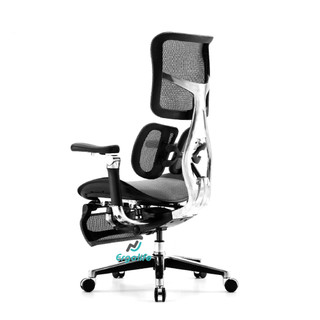 [HỎA TỐC 2H HCM] Ghế Công Thái Học Sihoo AU  (Doro S300) VERSION 2