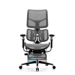 [HỎA TỐC 2H HCM] Ghế Công Thái Học Sihoo AU  (Doro S300) VERSION 2