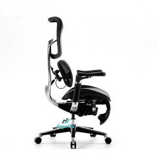 [HỎA TỐC 2H HCM] Ghế Công Thái Học Sihoo AU  (Doro S300) VERSION 2