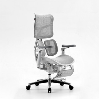 [HỎA TỐC 2H HCM] Ghế Công Thái Học Sihoo AU  (Doro S300) VERSION 2