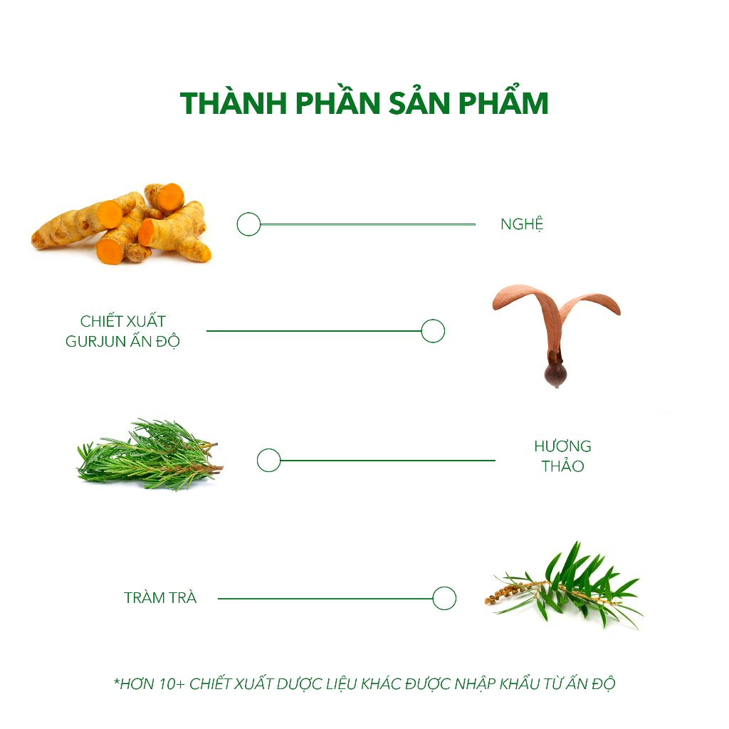 Dầu Gội Sạch Gàu Chiết Xuất Dược Liệu Antisol Hiệu Quả Nhanh, An Toàn Tuyệt Đối