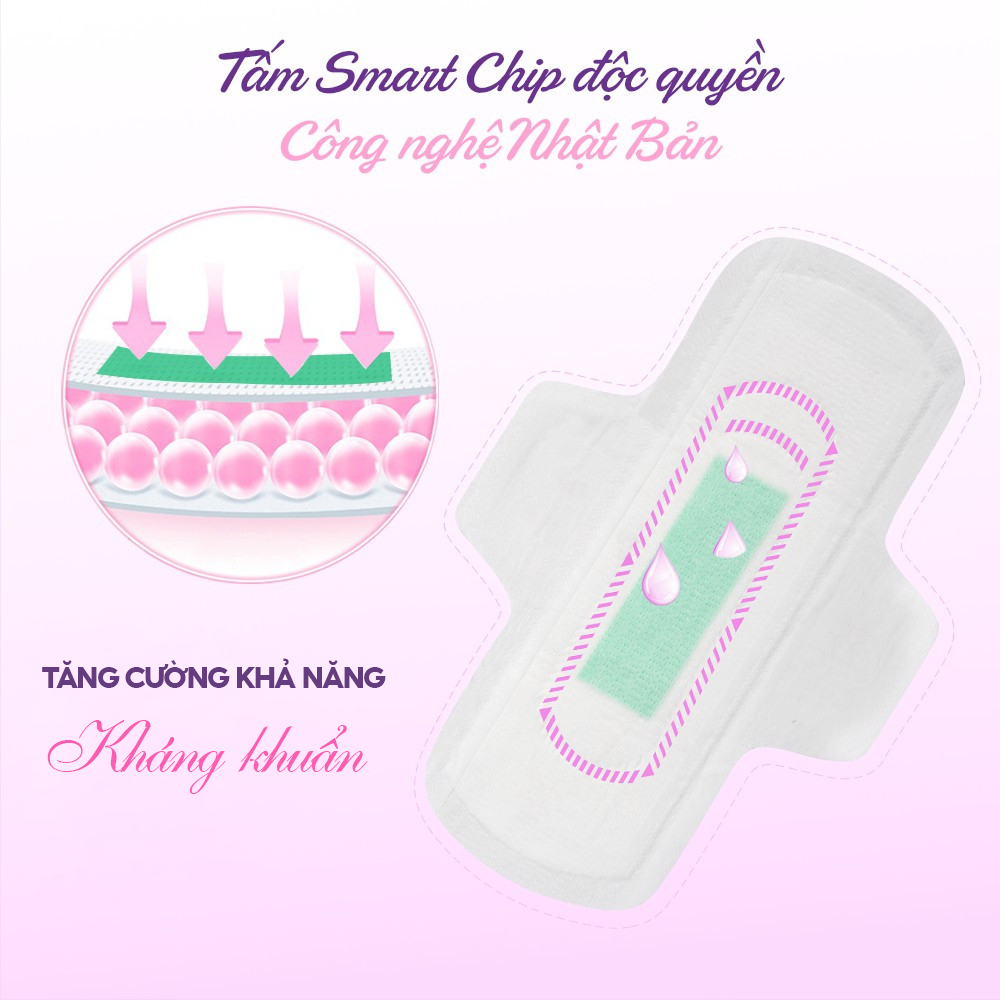 Combo hoàn hảo băng vệ sinh thảo dược D&C Doctor Care ban ngày, hằng ngày, ban đêm