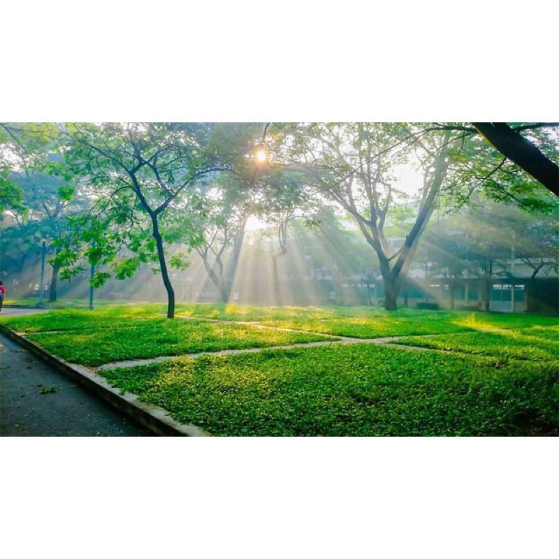 Ống Kính Canon 17-85mm f/4-5.6 IS USM cho Crop Canon Có chống rung Tặng kèm Loa Che Nắng,fillter bảo vệ   Mới 95-98%