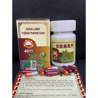 Song Long Thống Phong Đan Xương Khớp