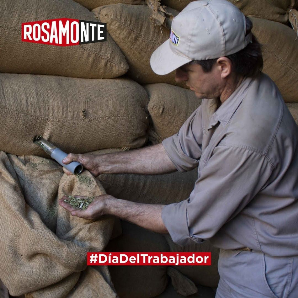 Trà Yerba Maté - ROSAMONTE - Traditional