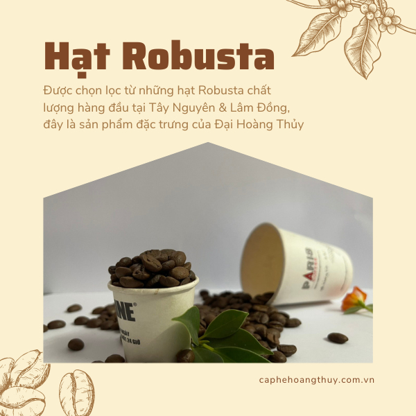Cà phê hạt Robusta nguyên chất 100% - Rang mộc/tẩm bơ [1kg]