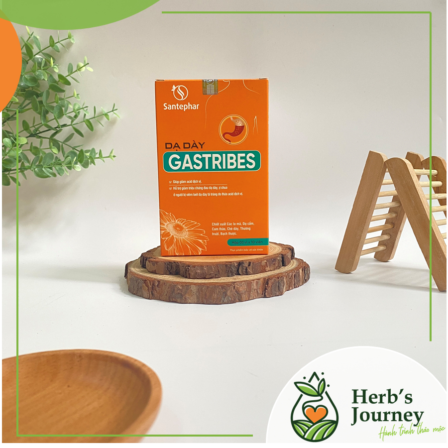 GASTRIBES – GIẢM TRÀO NGƯỢC, VIÊM LOÉT DẠ DÀY, TÁ TRÀNG TỪ THẢO DƯỢC