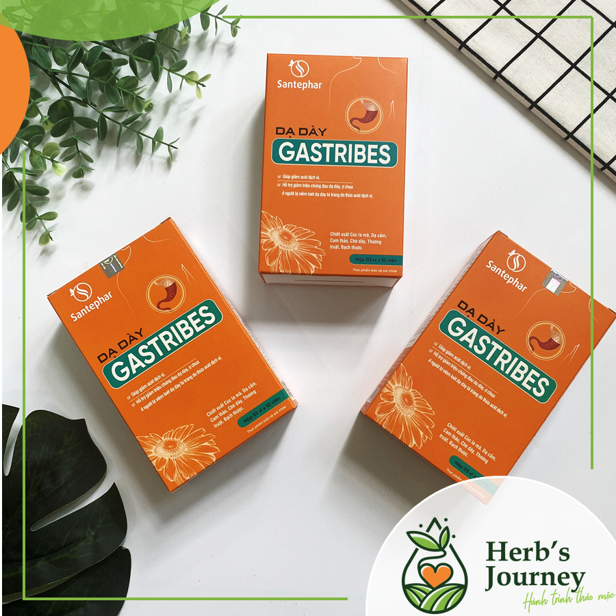 GASTRIBES – GIẢM TRÀO NGƯỢC, VIÊM LOÉT DẠ DÀY, TÁ TRÀNG TỪ THẢO DƯỢC