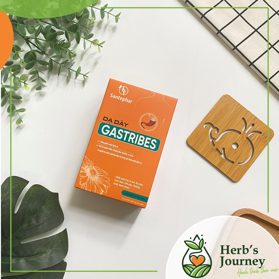 GASTRIBES – GIẢM TRÀO NGƯỢC, VIÊM LOÉT DẠ DÀY, TÁ TRÀNG TỪ THẢO DƯỢC