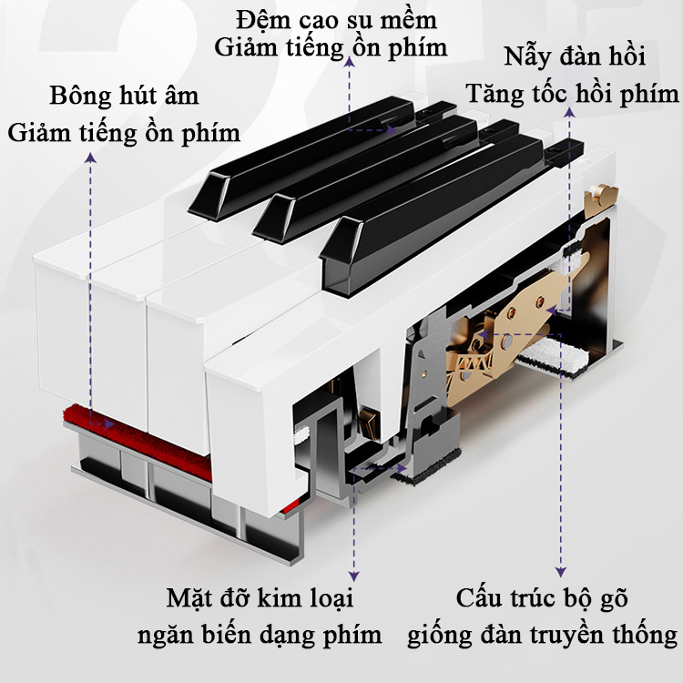 Đàn Piano gỗ, Đàn Organ 88 phím cao cấp đa chức năng, âm thanh siêu trong, dễ sử dụng, có HDSD đi kèm