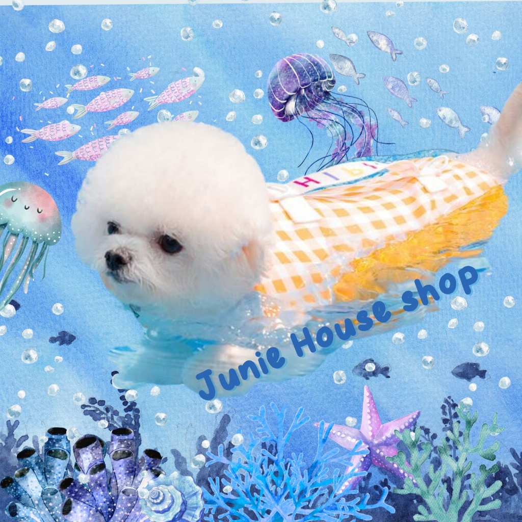 Áo phao mỏng nhẹ đi bơi cho chó mèo phong cách Hàn Quốc