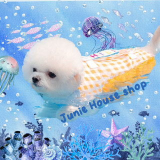 Áo phao mỏng nhẹ đi bơi cho chó mèo phong cách Hàn Quốc
