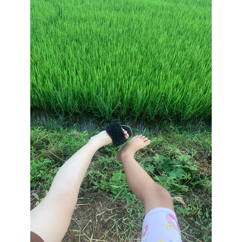 Kembody tặng tẩy da chết