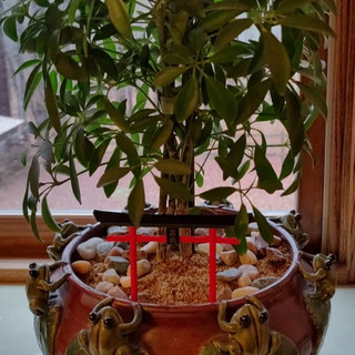 Mô hình mini Cổng Torii trang trí Bonsai