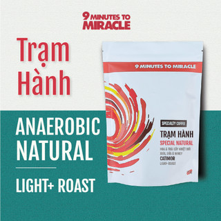  Cà Phê Trạm Hành Special Natural | Cà phê Đà Lạt rang xay nguyên chất phù hợp pha V60 