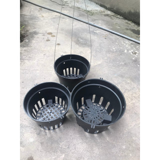 Chậu nhựa, chậu gáo dừa trồng hoa lan có kèm móc treo