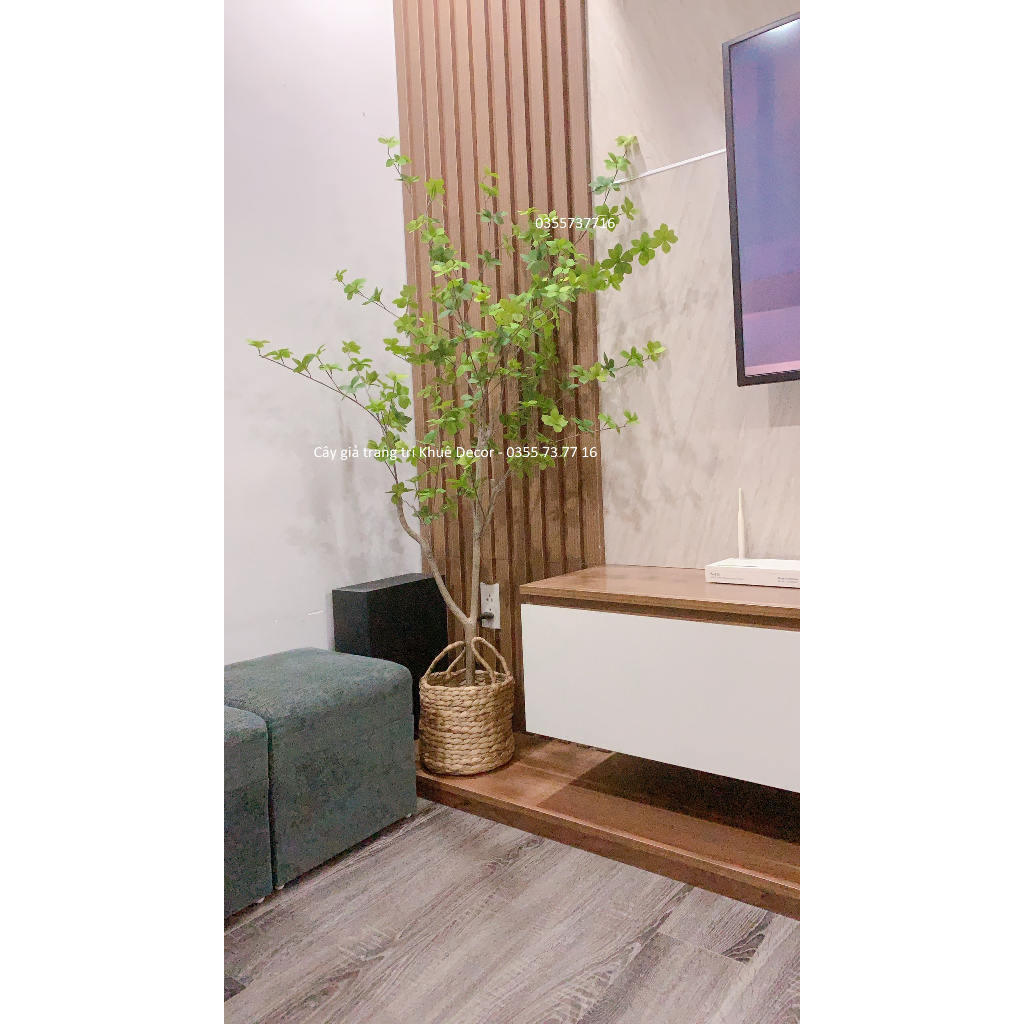 Cây Thạch nam 1m7 - Cây Giả