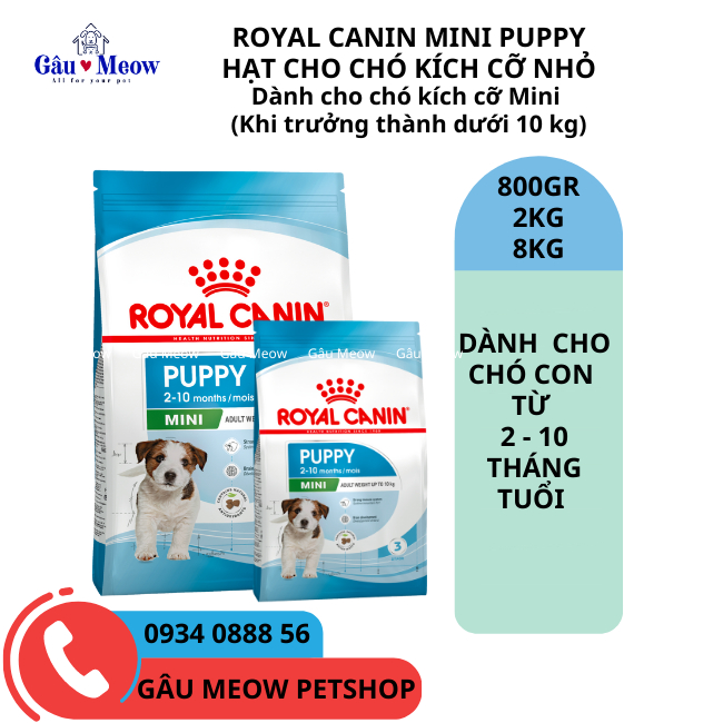 Thức ăn hạt cho chó cỡ nhỏ dưới 10 tháng tuổi Royal Canin Mini Puppy chó Nhật Pug Poodle Bichon Corgi Phốc Chihuahua