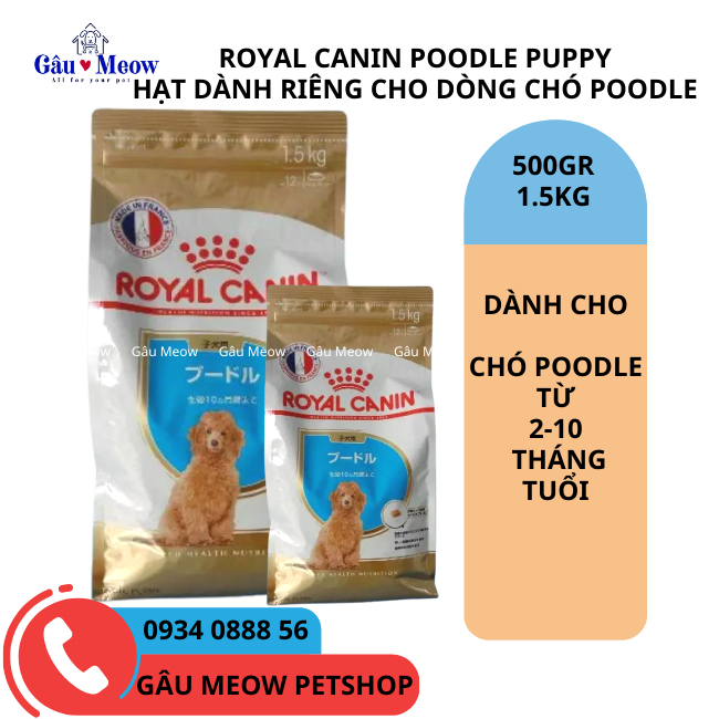 Royal Canin Poodle Puppy Thức ăn hạt dành riêng cho chó Poodle từ 2-10 tháng tuổi