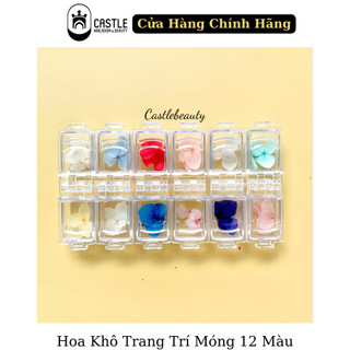 Hoa Khô Trang Trí Móng 12 Màu
