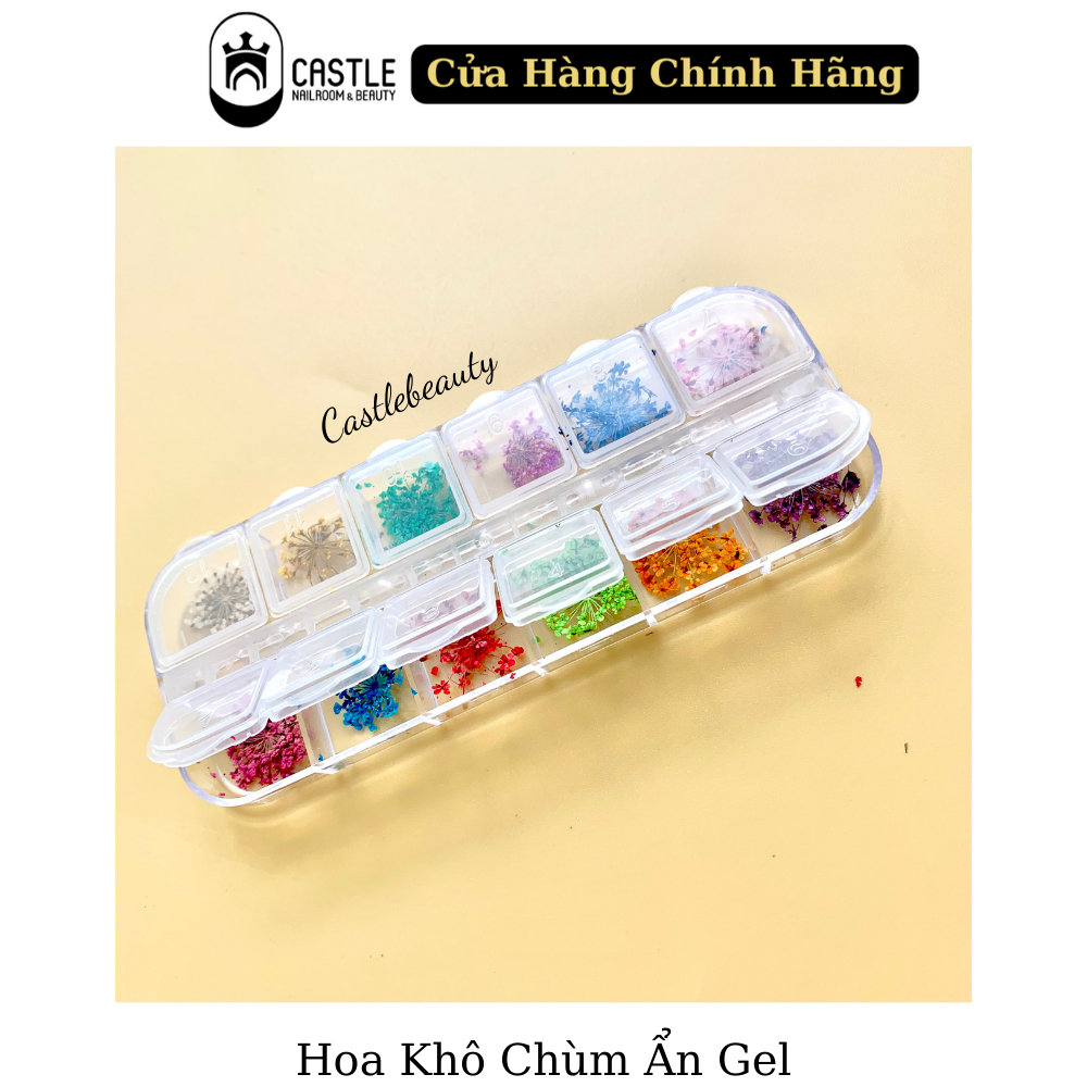 Hoa Khô Chùm Ẩn Gel