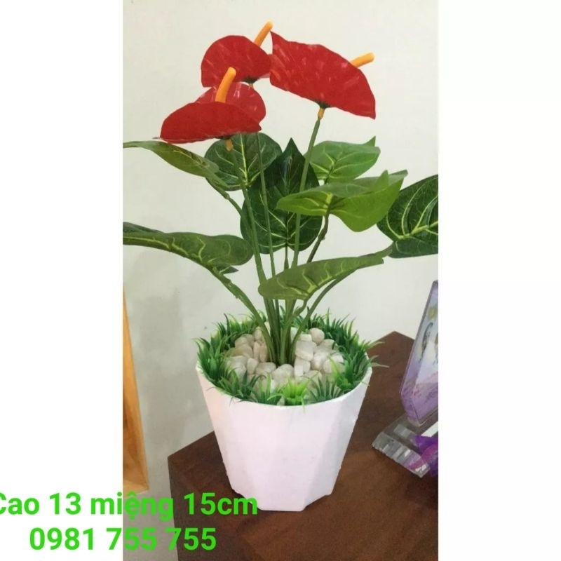 Chậu nhựa 30x26cm,chậu kim cương Cao Cấp Hàng Công Ty