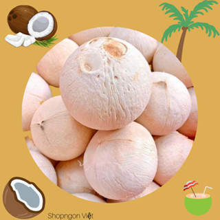 DỪA XIÊM XANH GỌT TRỌC