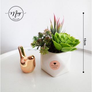 Cây giả, Chậu sen đá giả xinh xắn