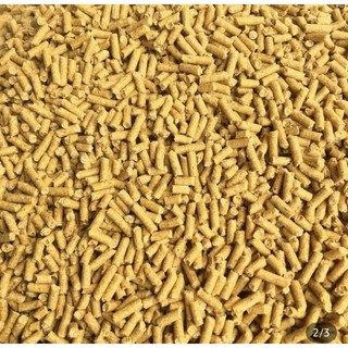 1kg Cám gà Dạng viên và xay mịn Câu Cá