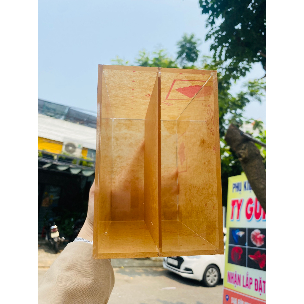Hồ show cá siêu trong/ keo show Guppy Betta/ bể mini acrylic - Có vách ngăn - 15x10x15 cm