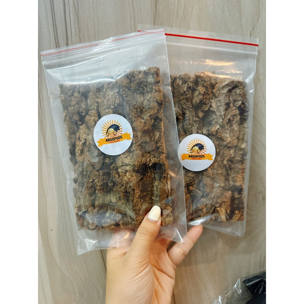 Cork Bark ( vỏ cây )  dành cho Isopod , Nhện , Rết