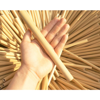 100 ống hút trà sữa (ống hút trân châu) - (Nhà Sản Xuất)
