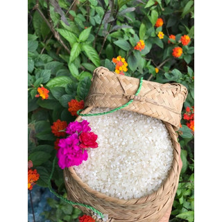 Gạo nếp Tú Lệ 1kg-Đặc sản Tây Bắc