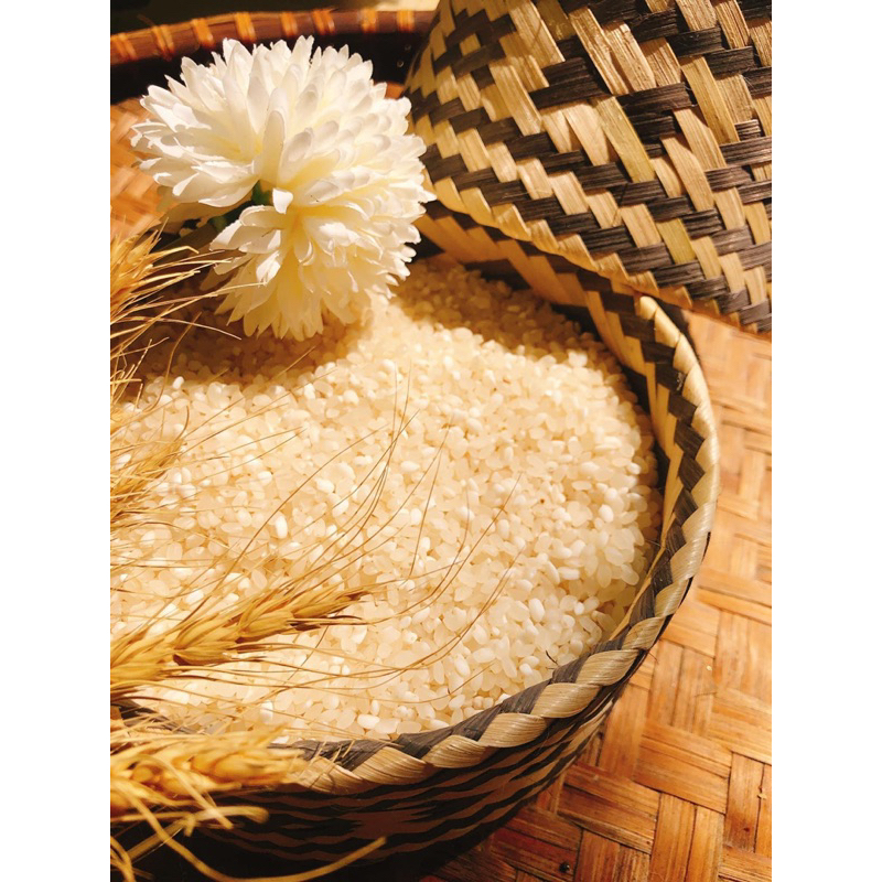 Gạo nếp Tú Lệ-Đặc sản Tây Bắc (2kg)