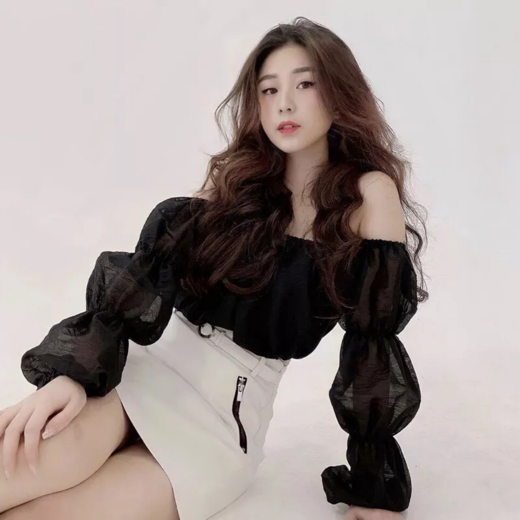 Áo croptop dài tay bo khúc vải xốp tiểu thư sang mã AS82
