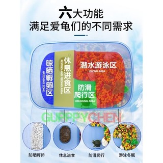 Bể Nhựa Nuôi Rùa - cá ếch thằn lằn đa năng
